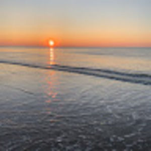 Meet your Posher, Jeddi